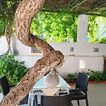 Kalipso Couette-café 3*