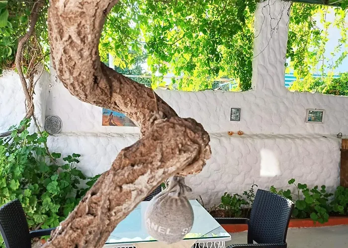 Kalipso Alojamento de Acomodação e Pequeno-almoço 3*