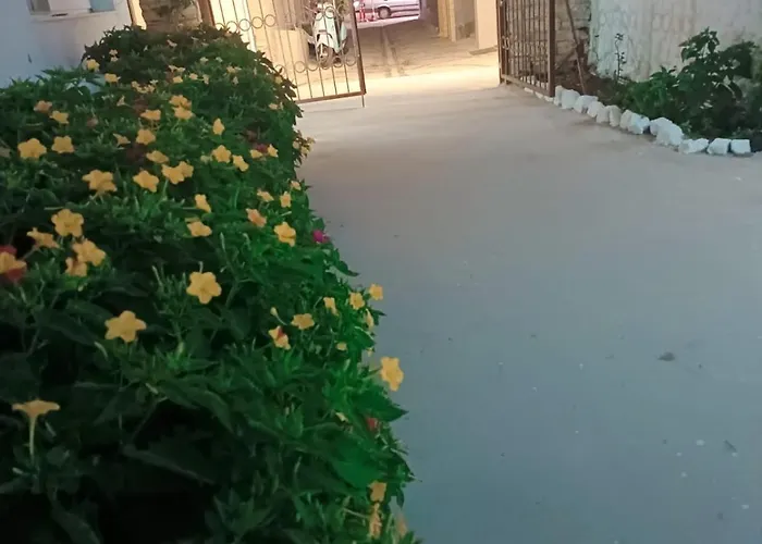 Alojamento de Acomodação e Pequeno-almoço Kalipso