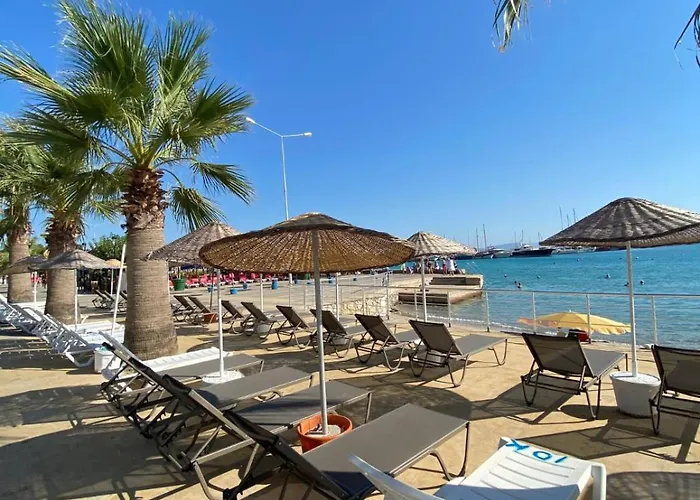 Alojamento de Acomodação e Pequeno-almoço Kalipso 3*